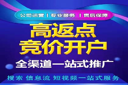 百度竞价广告策略分析及实战案例
